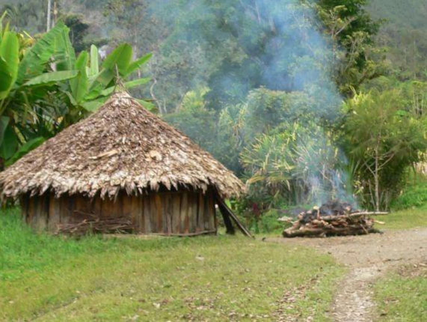 Rumah Adat Suku Yali