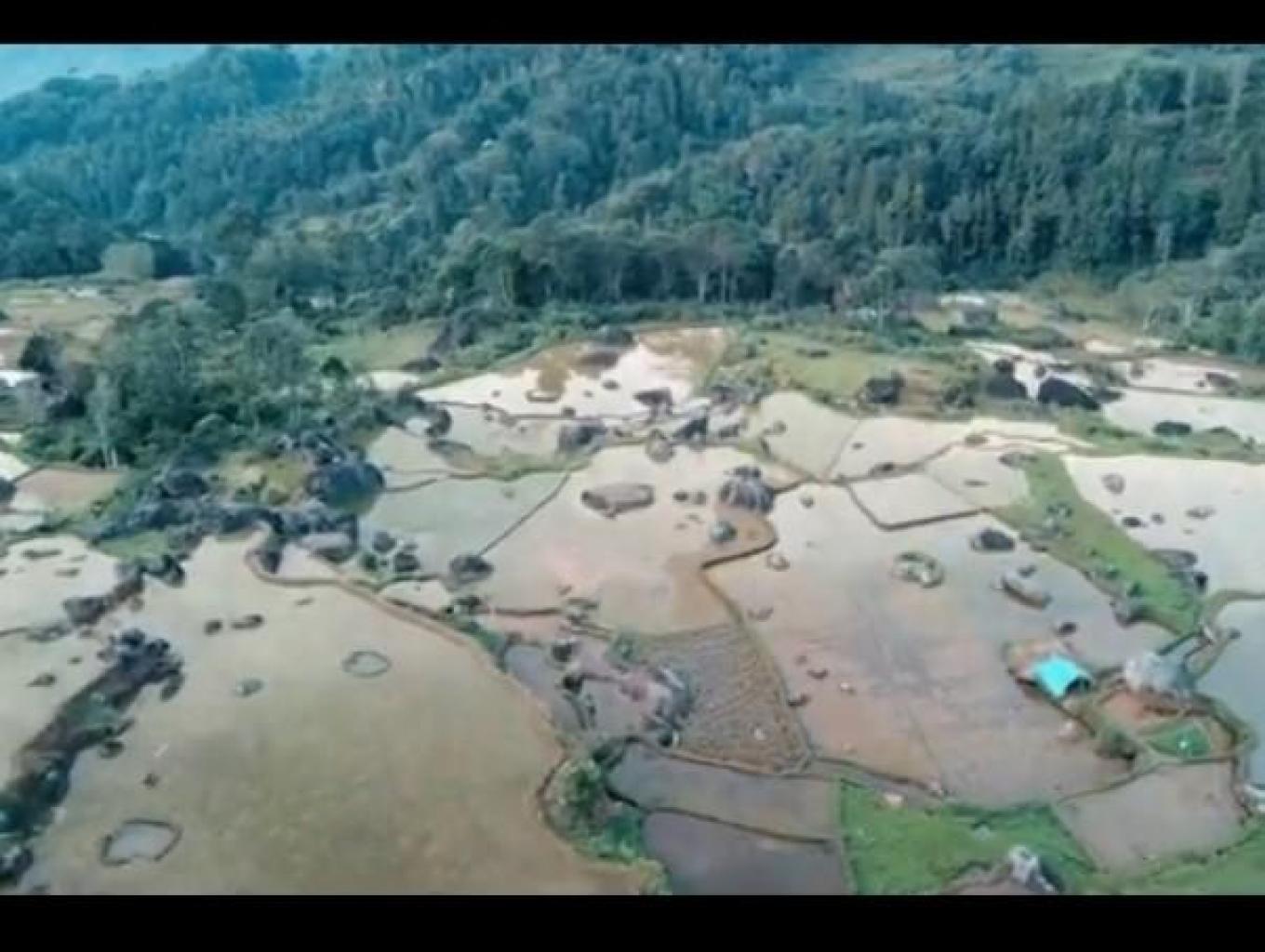 Sawah Di Toraja Memiliki Penyimpanan Ikan Di Tengah Sawah (kurungan Ikan)