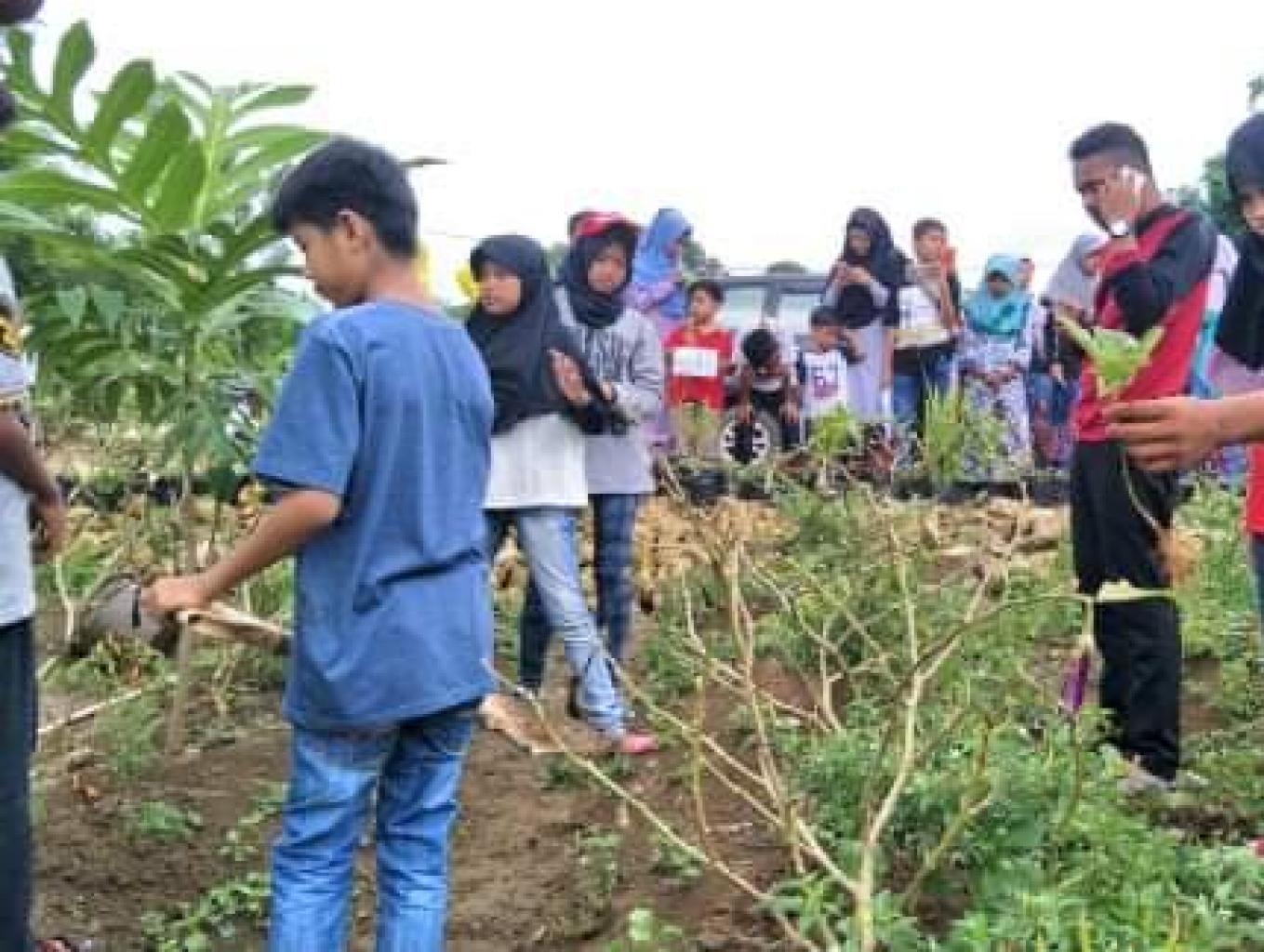 Petualangan Pendidikan Pertanian