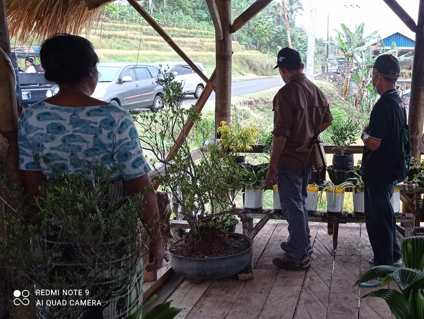 Eksplor Aneka Tanaman Bunga