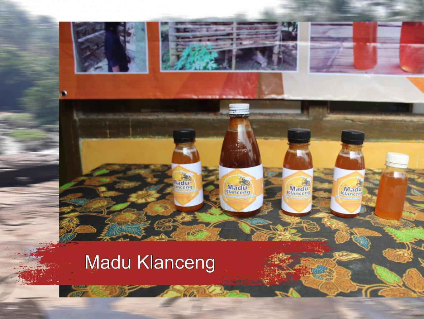 Madu Klanceng