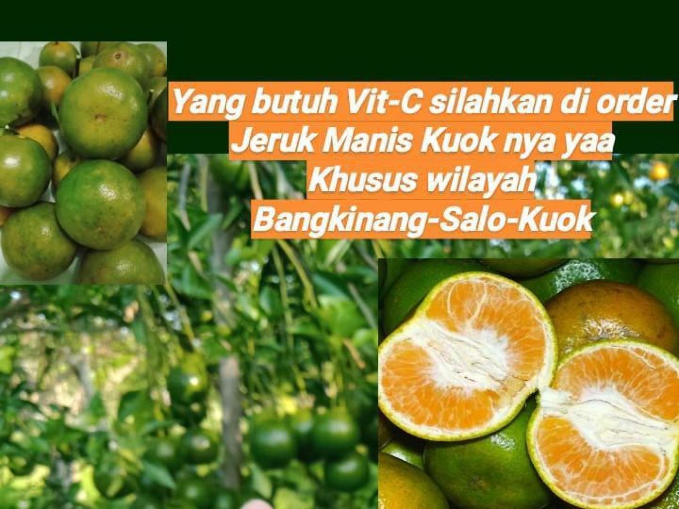 Jeruk Kuok