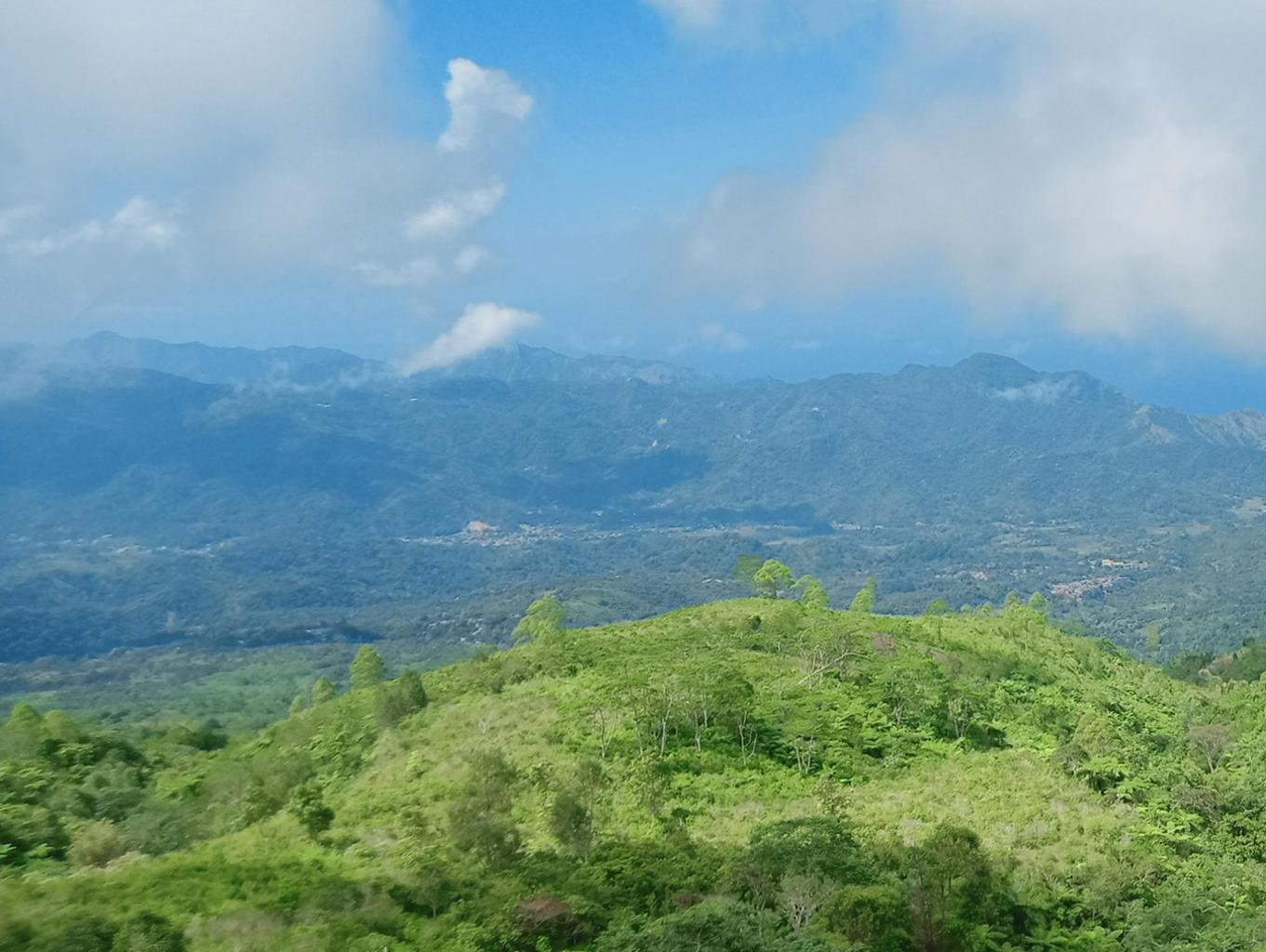 Pemandangan