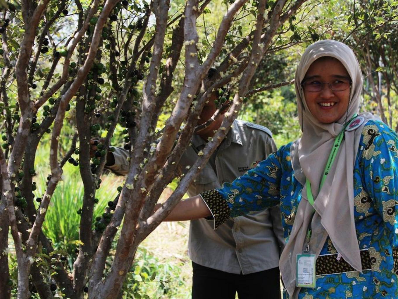 Edukasi dan Petik Buah