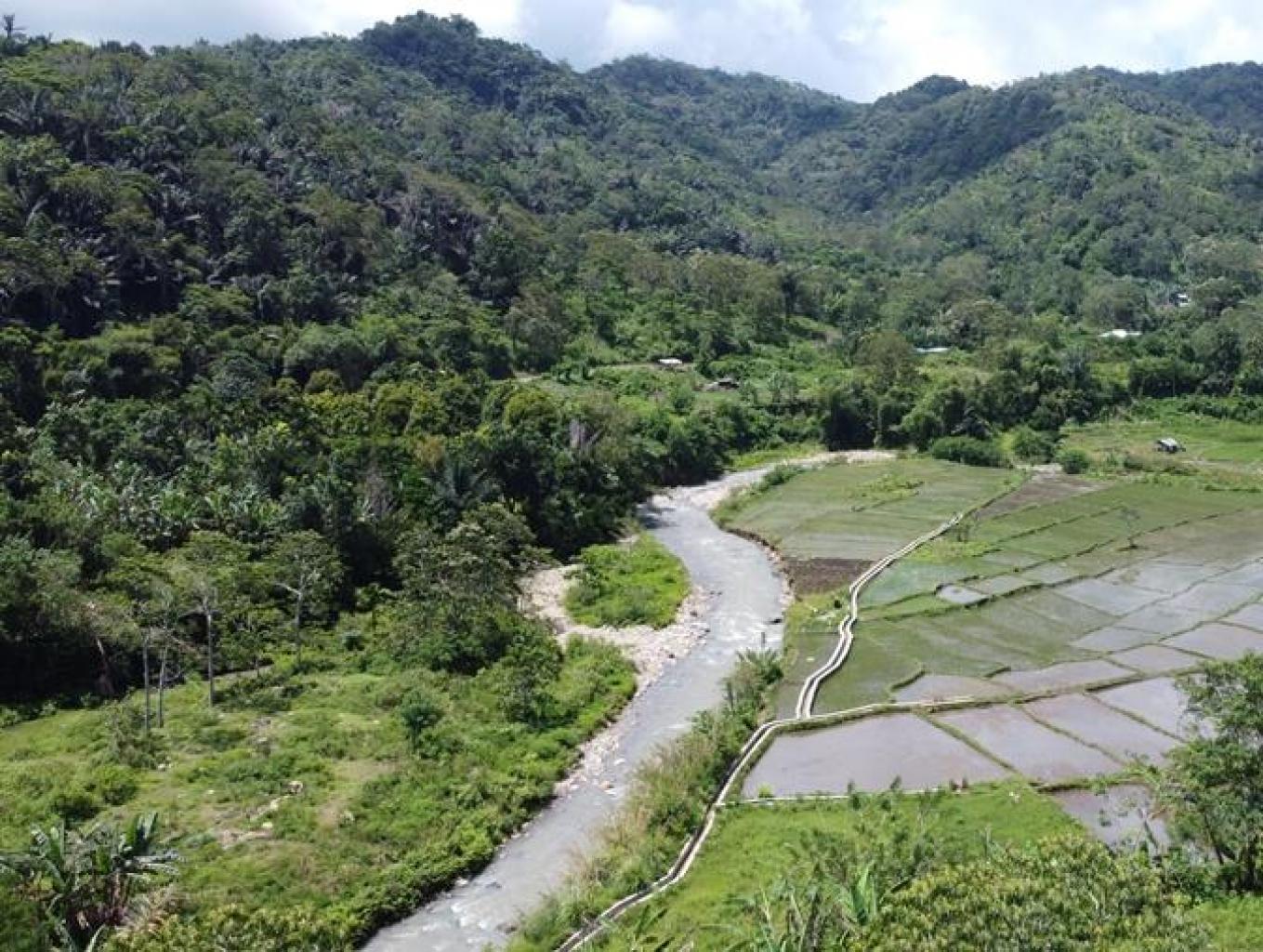 Pemandangan Sawah