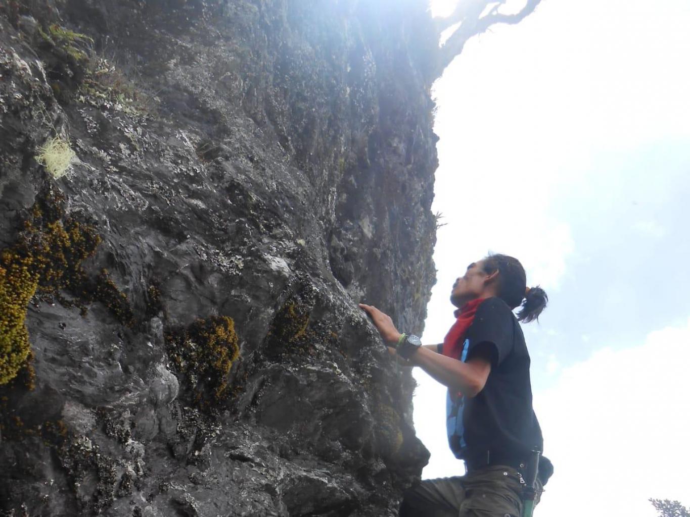 Mendaki Gunung