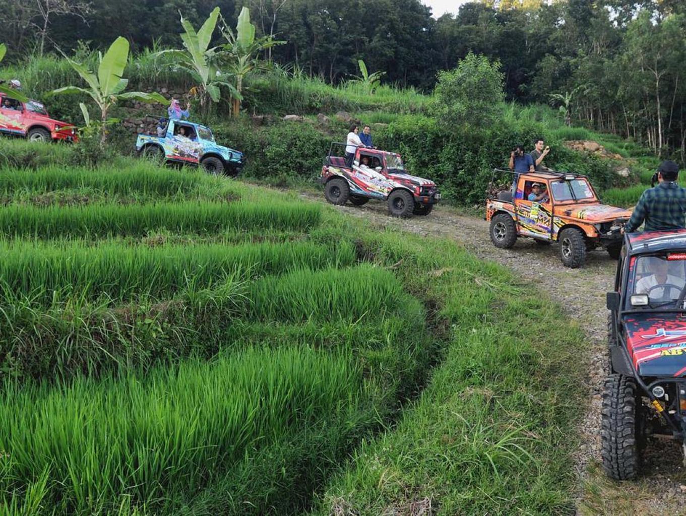 Langit Hijau