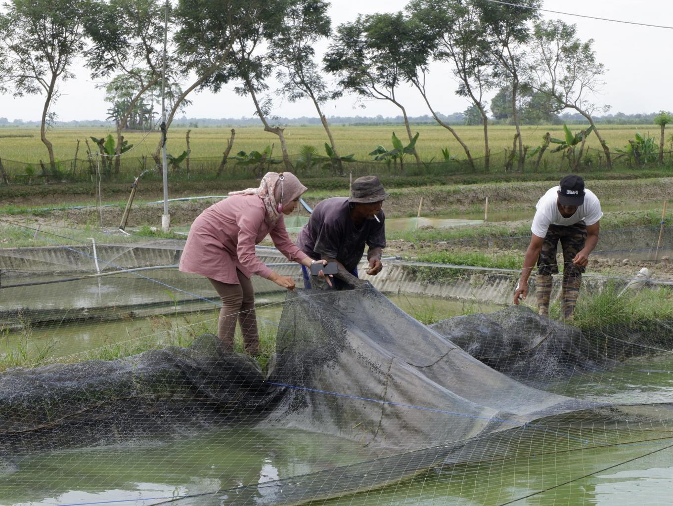 Wisata Edukasi Budidaya Ikan
