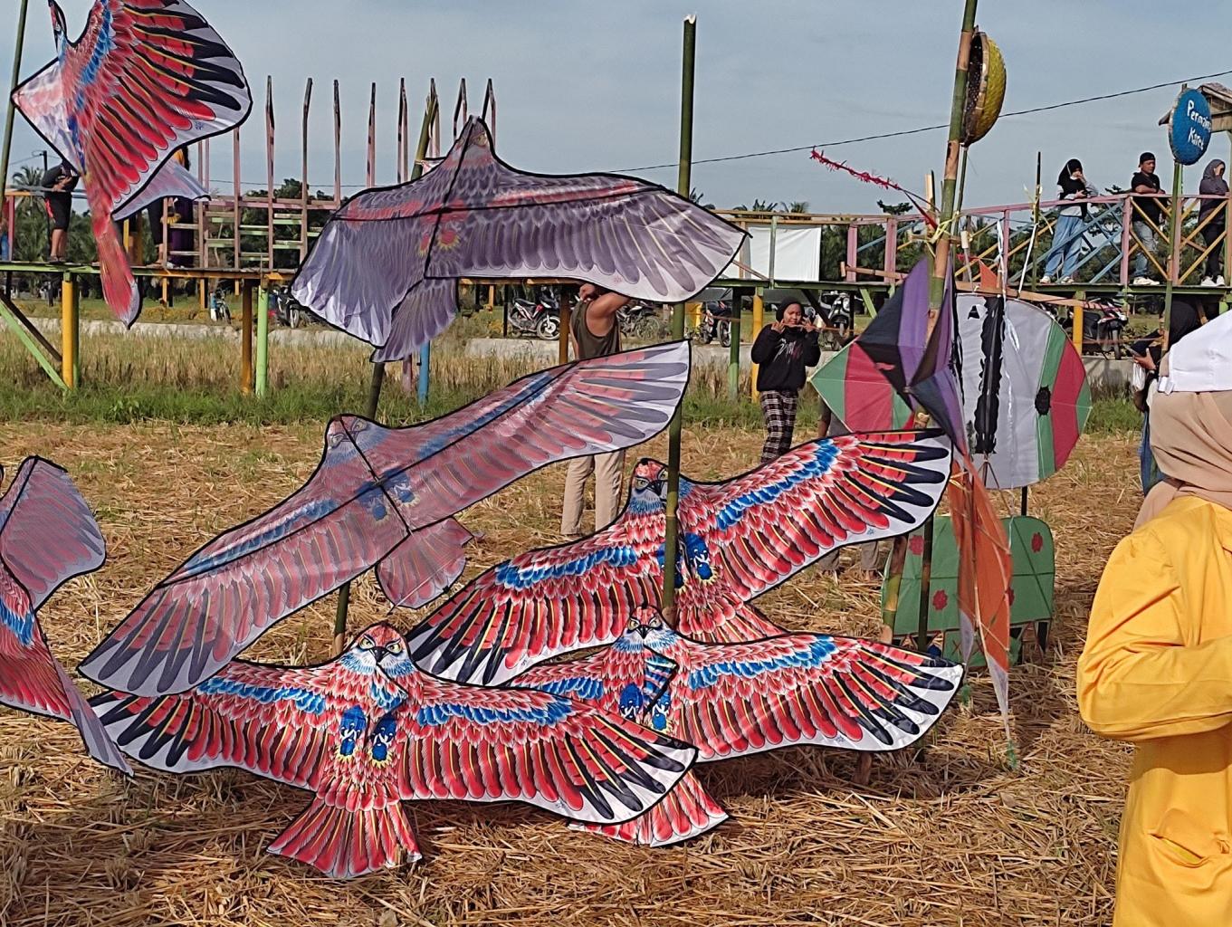 Festival Layangan
