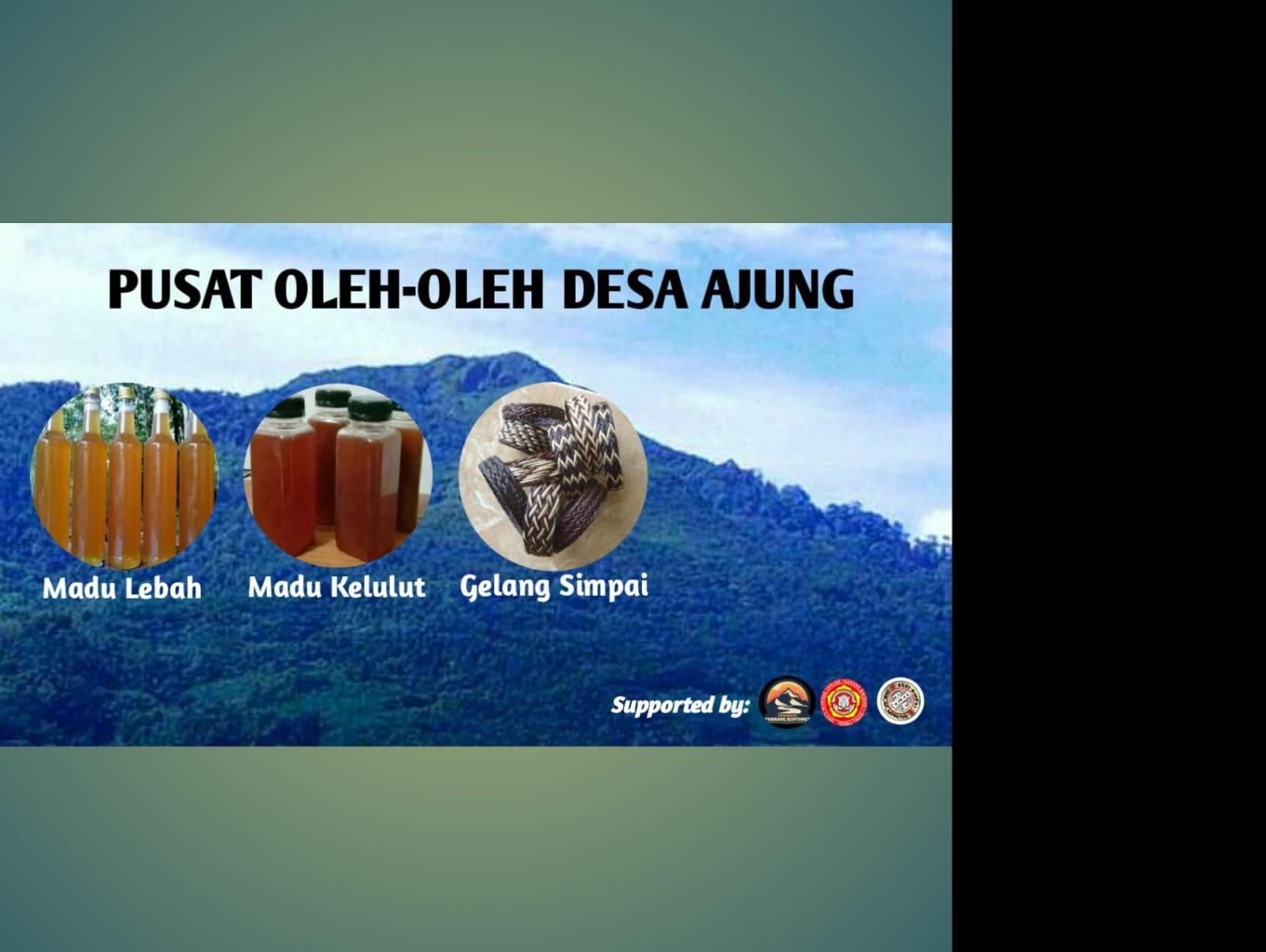 madu kelulut dan madu lebah