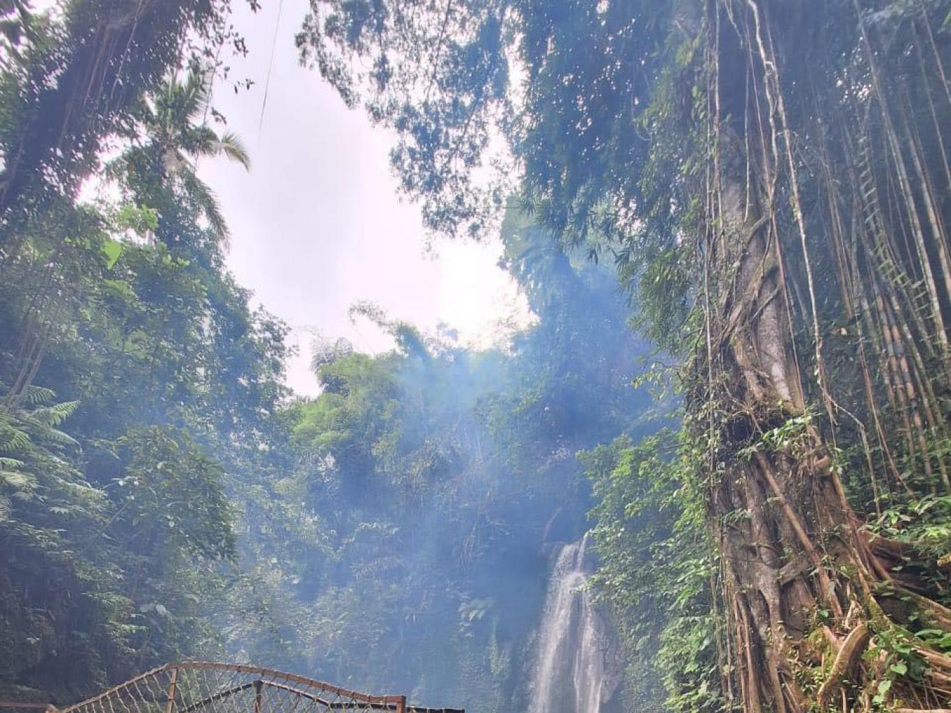 KEDISAN