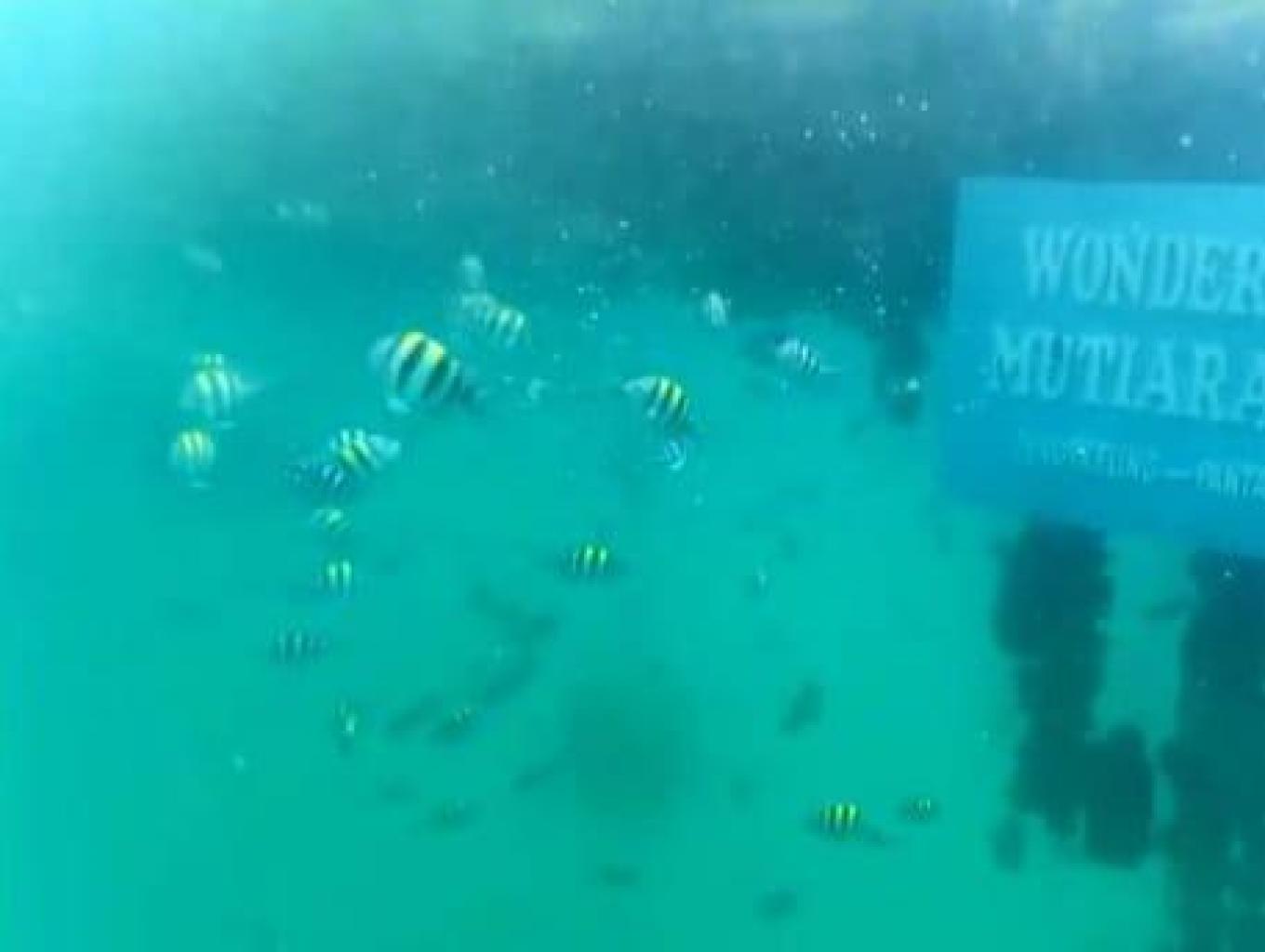 Spot Selfie Pantai Mutiara