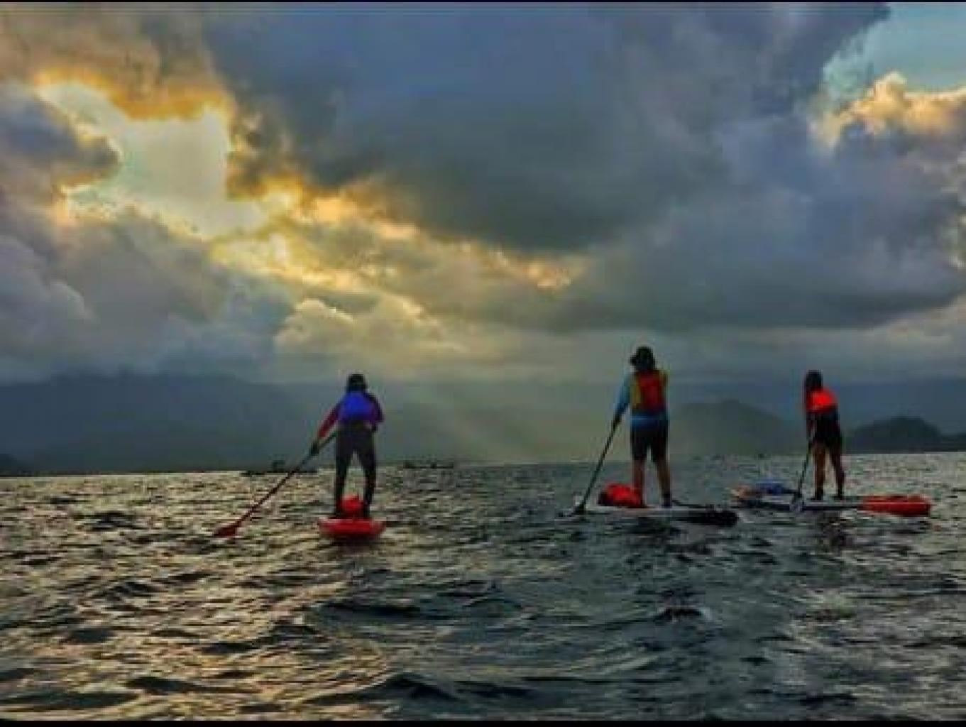 Paddle
