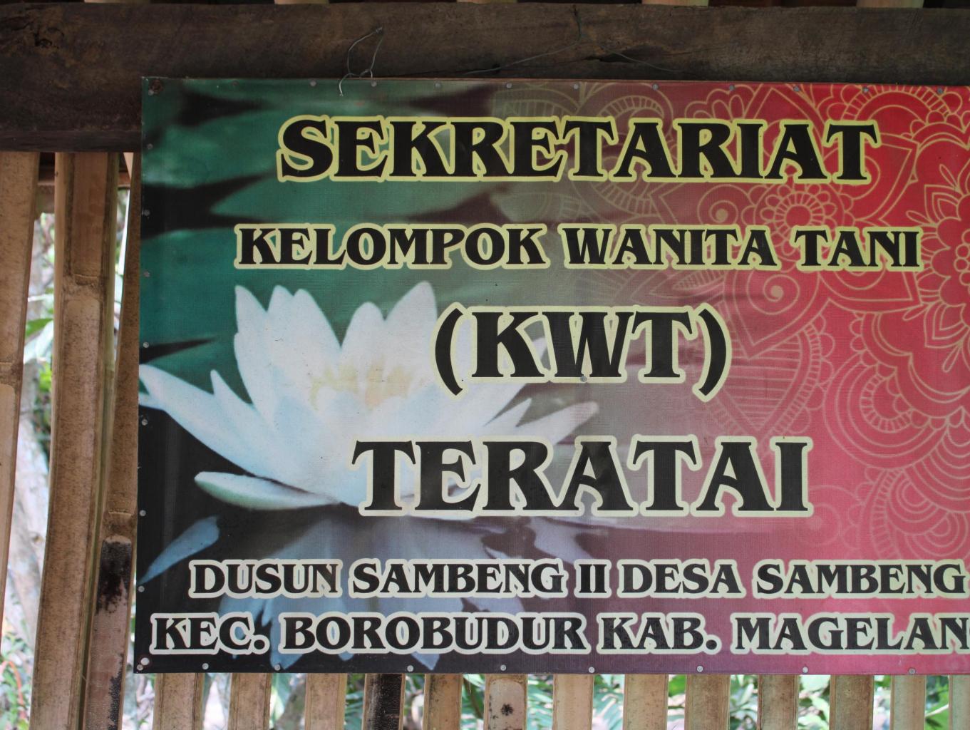 KWT 
