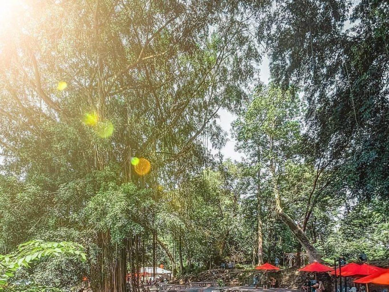 Wisata Alam Umbul Sigedhang-Kapilaler