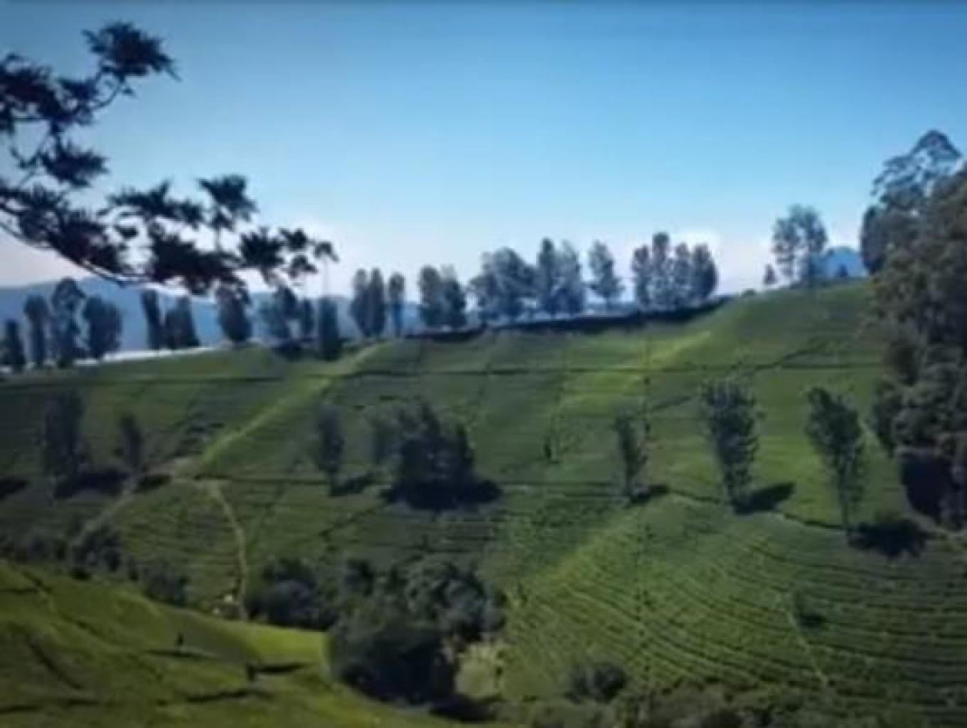 desa wisata tenjolaya