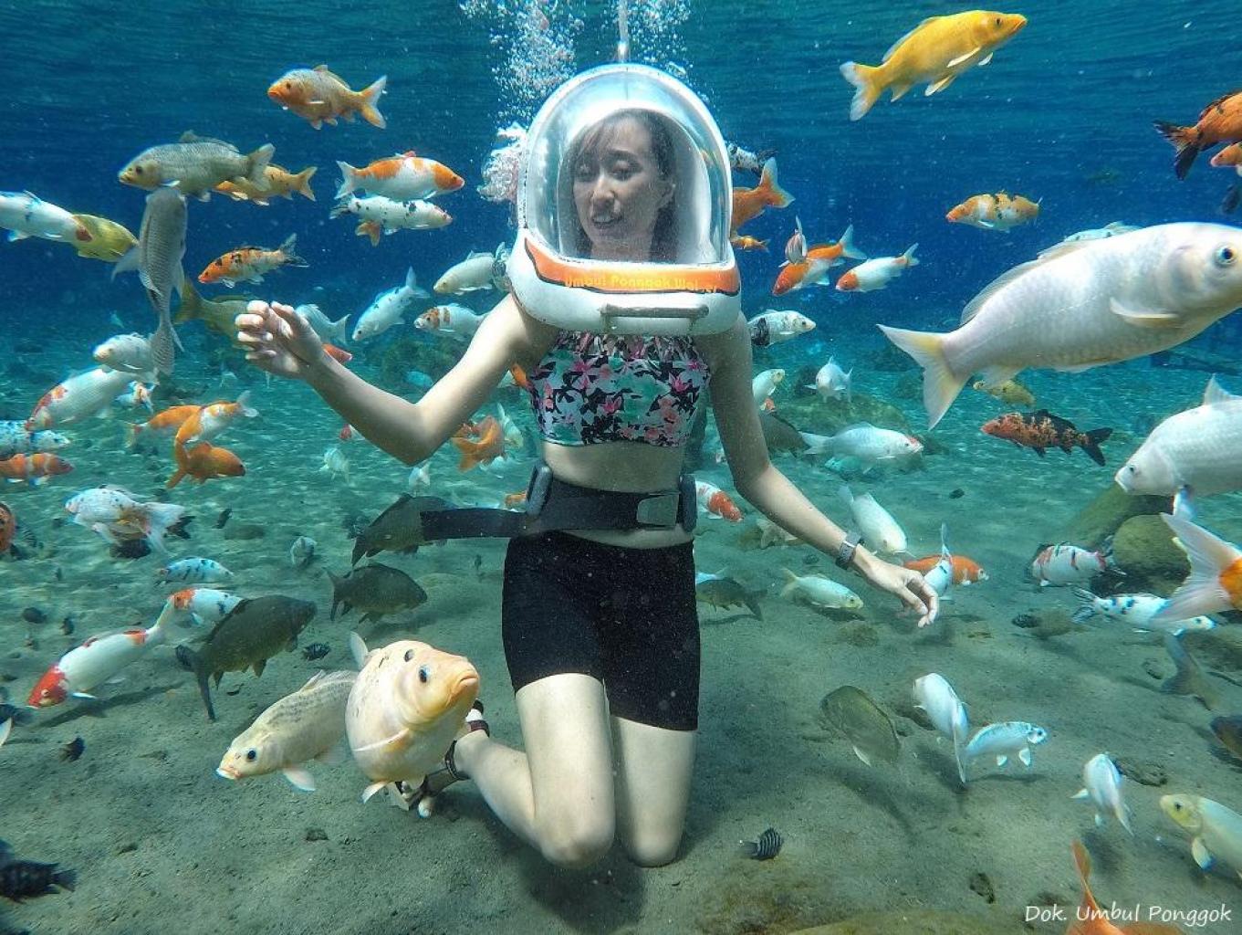 WISATA UMBUL PONGGOK
