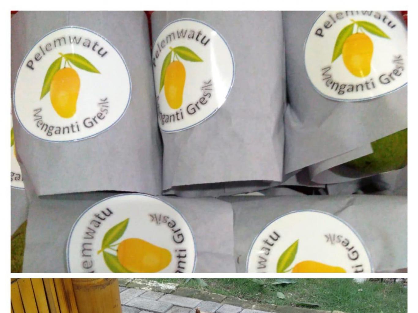 Buah Mangga Agrowisata Pelemsewu