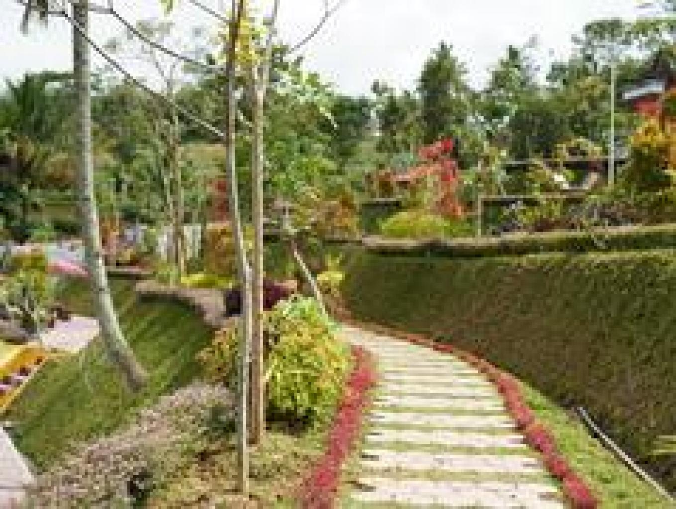 Taman