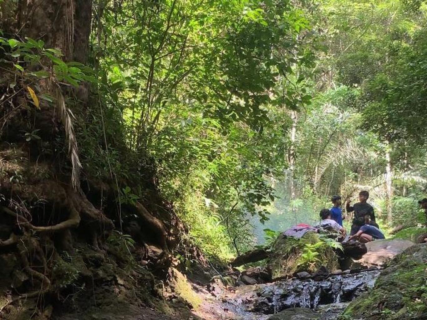 Cibodas Kendan Forest