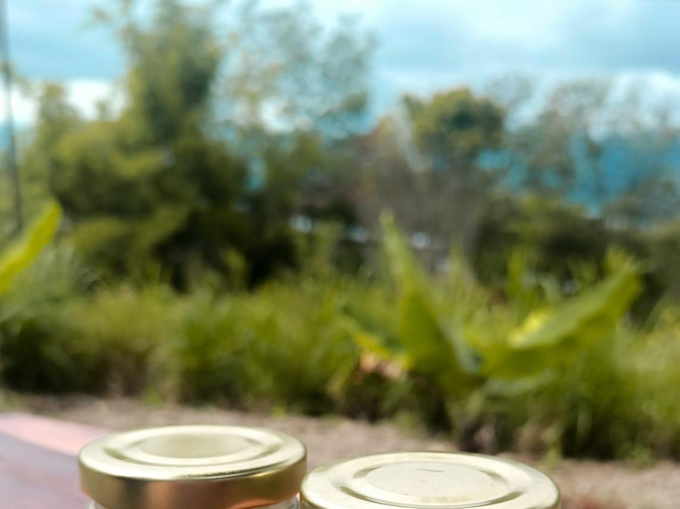 YOSUHO (YOGURT SUSU NI HORBO
