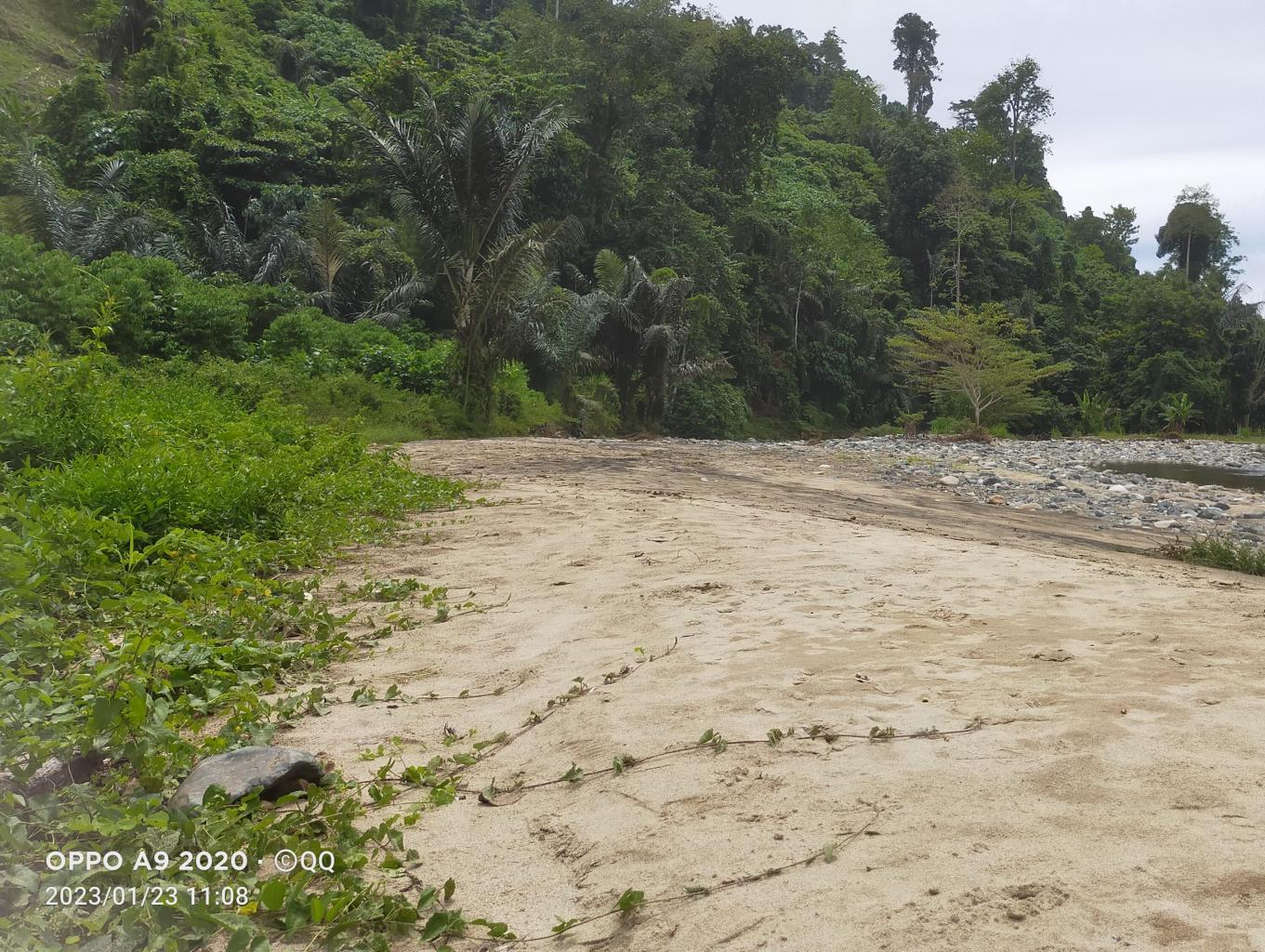 Camping Area