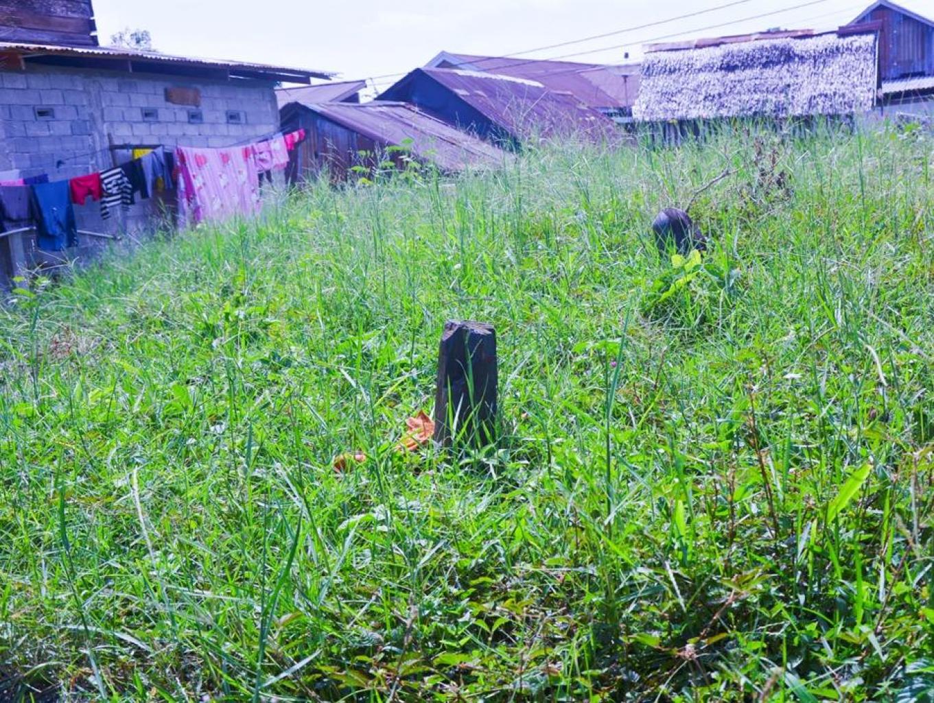 Makam Simpurusia