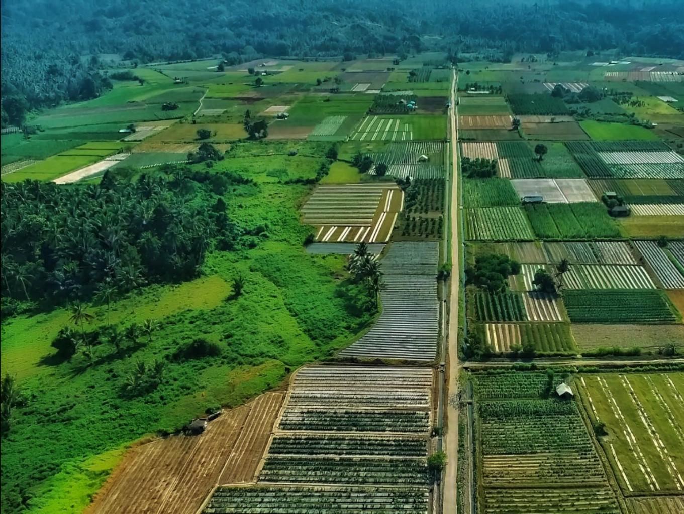 Desa Waihatu