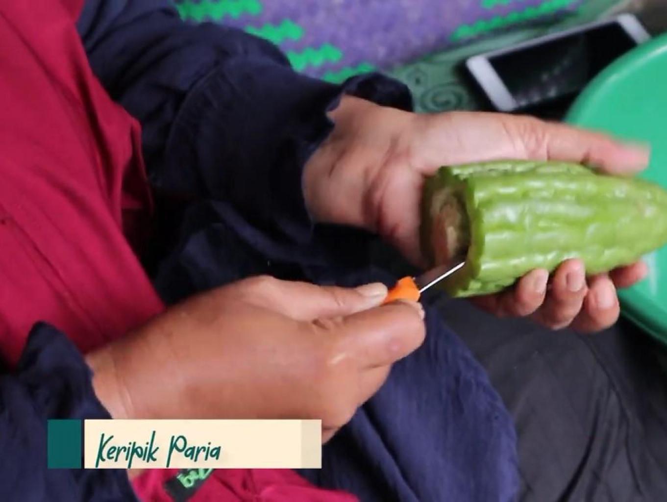 Keripik Paria atau Pare