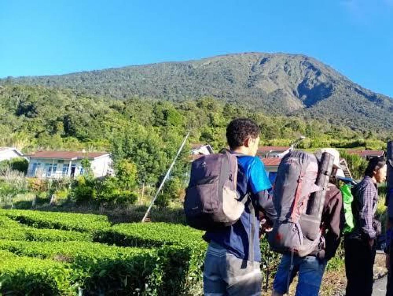Pendakian Gunung Dempo