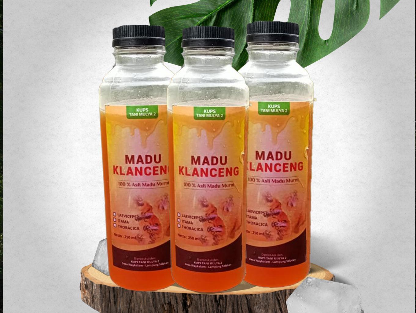 Produksi Madu Kelulut