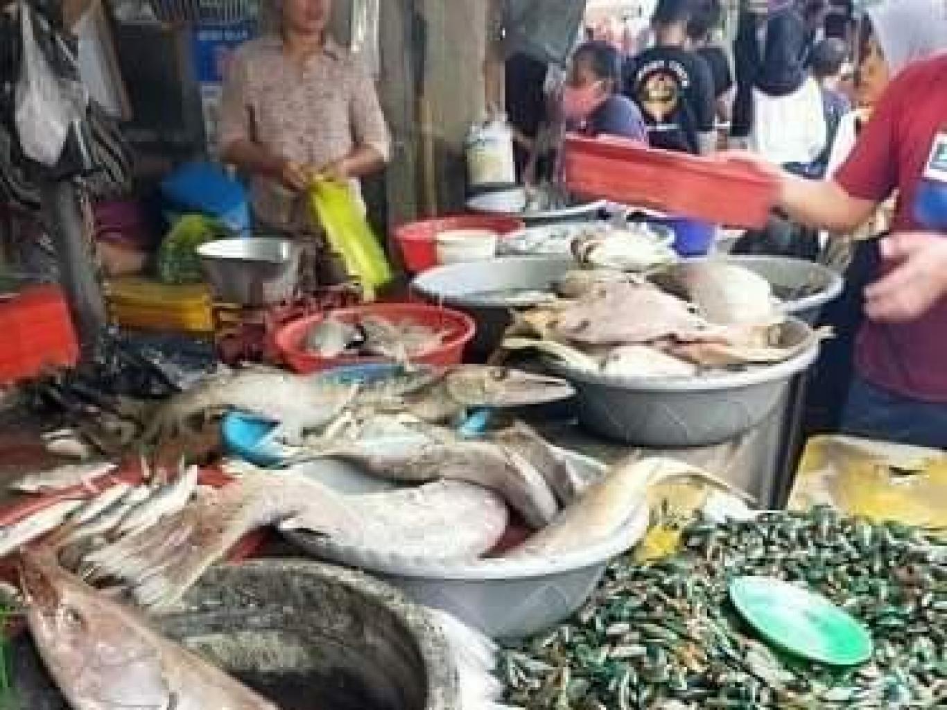Ikan Segar