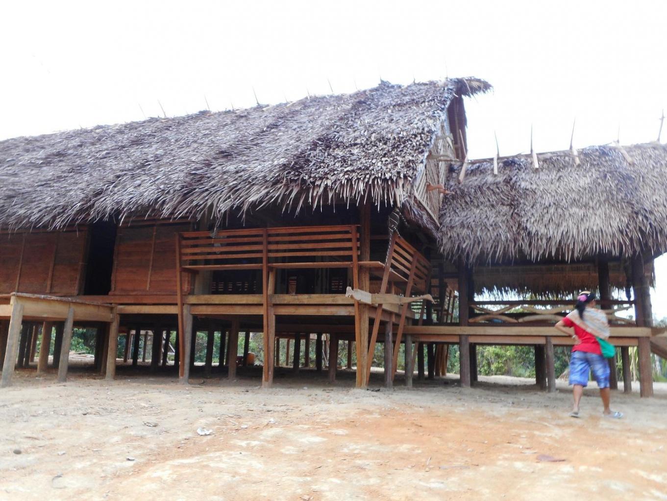 Edukasi  Desain Arsitektur Rumah Adat Mentawai