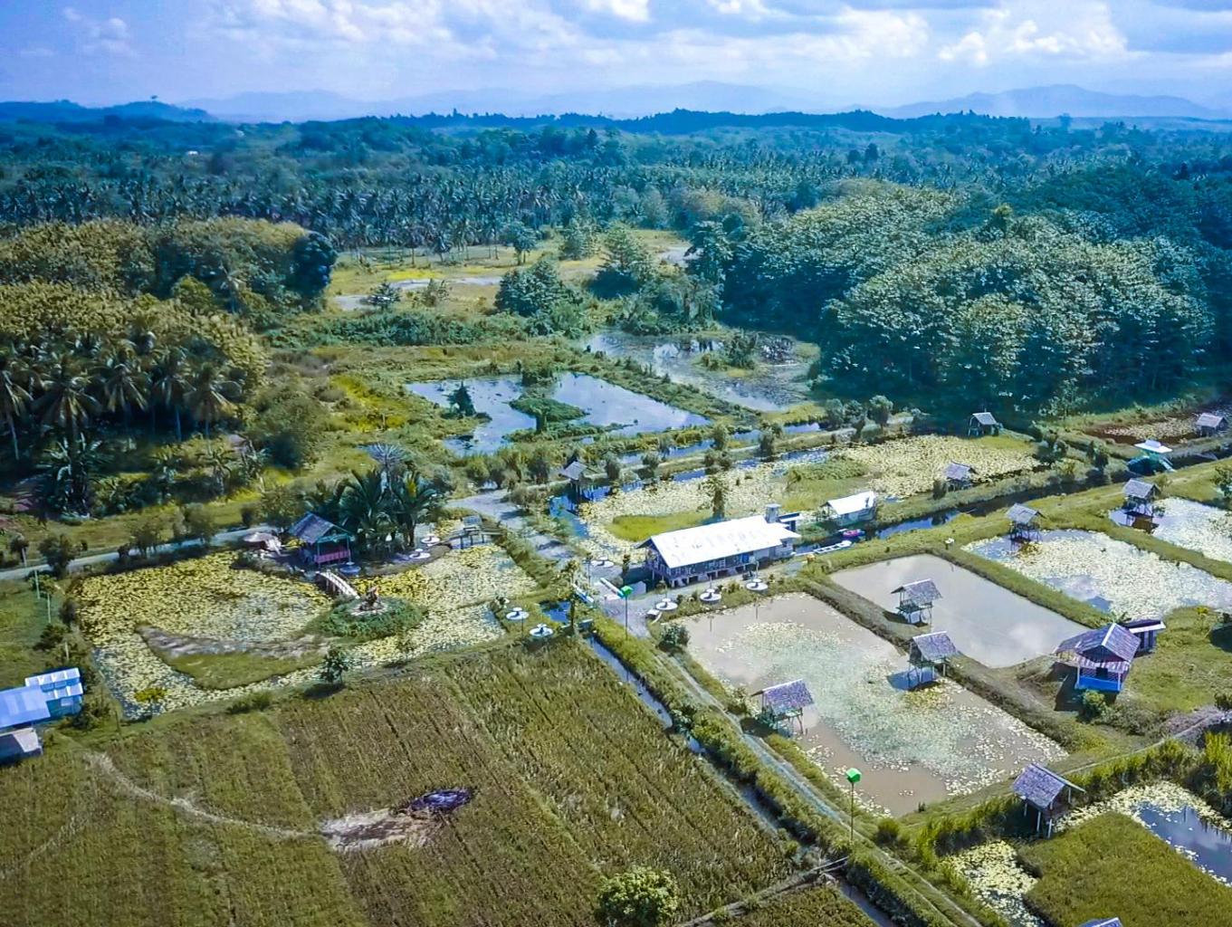 Paket wisata Pemancingan