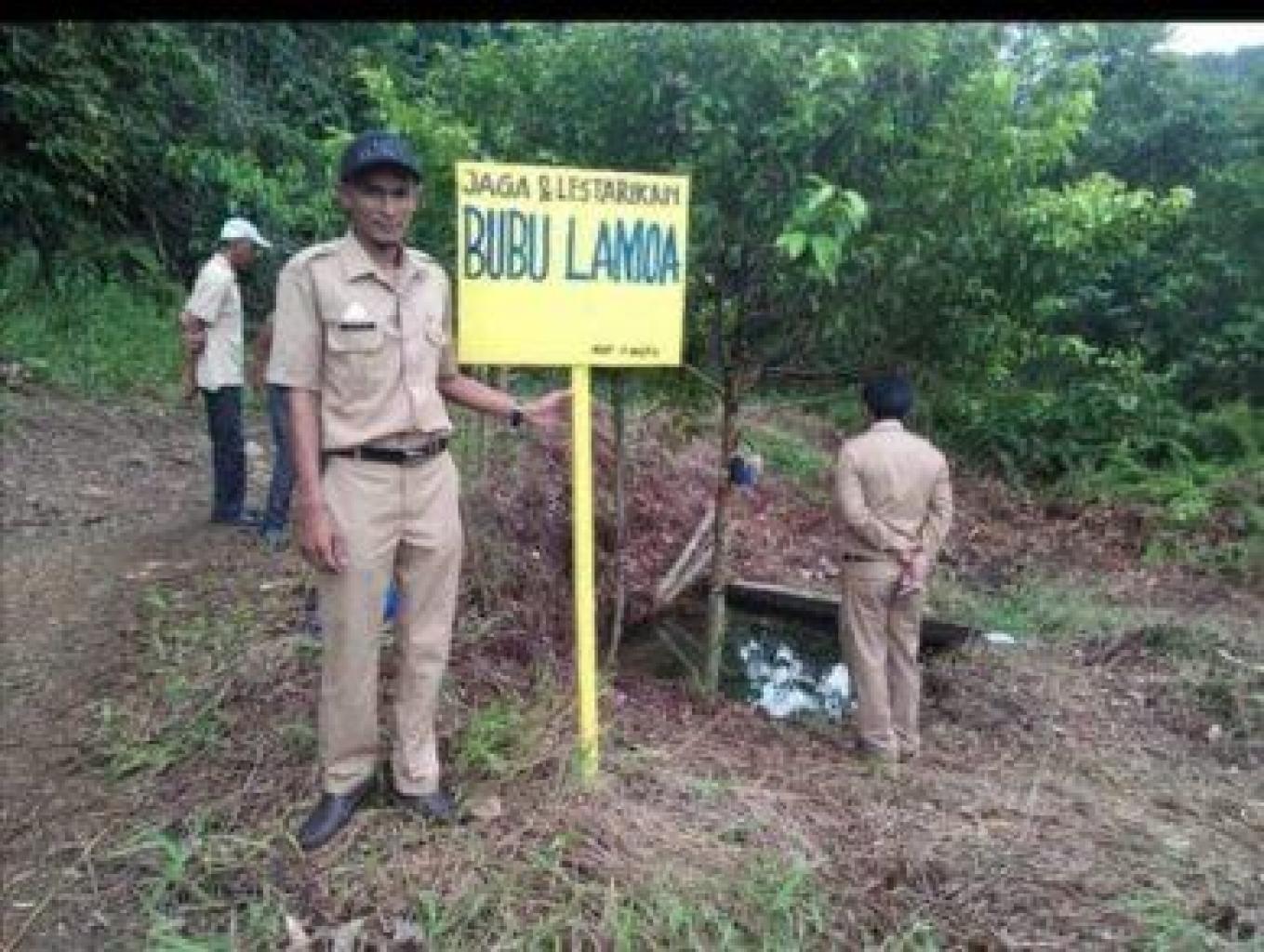 Bubu Lamoa