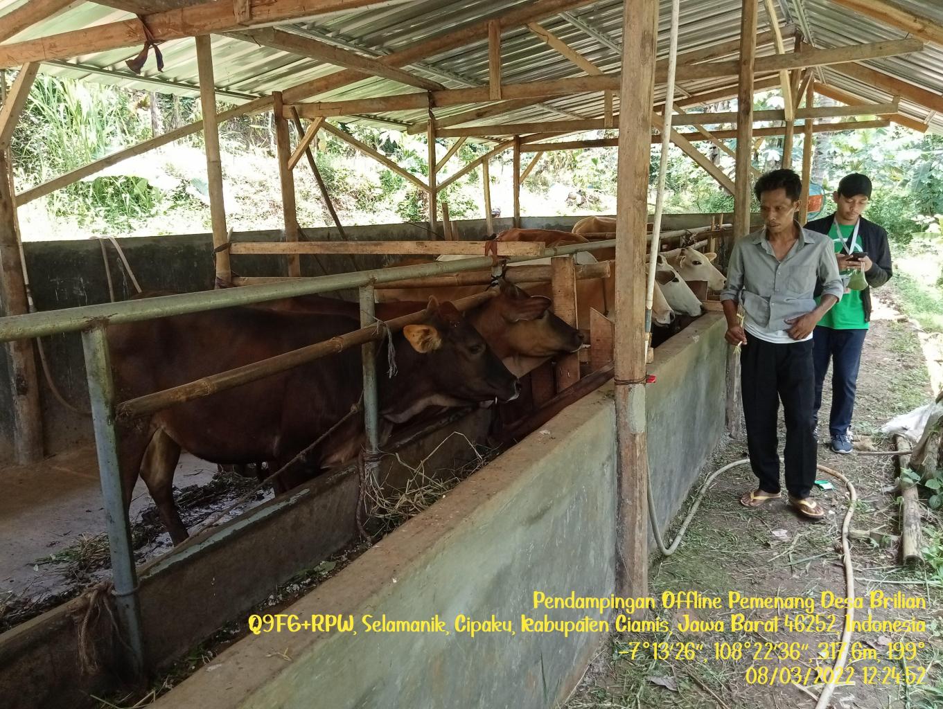 Wisata Edukasi Ternak Sapi (mini ranch)