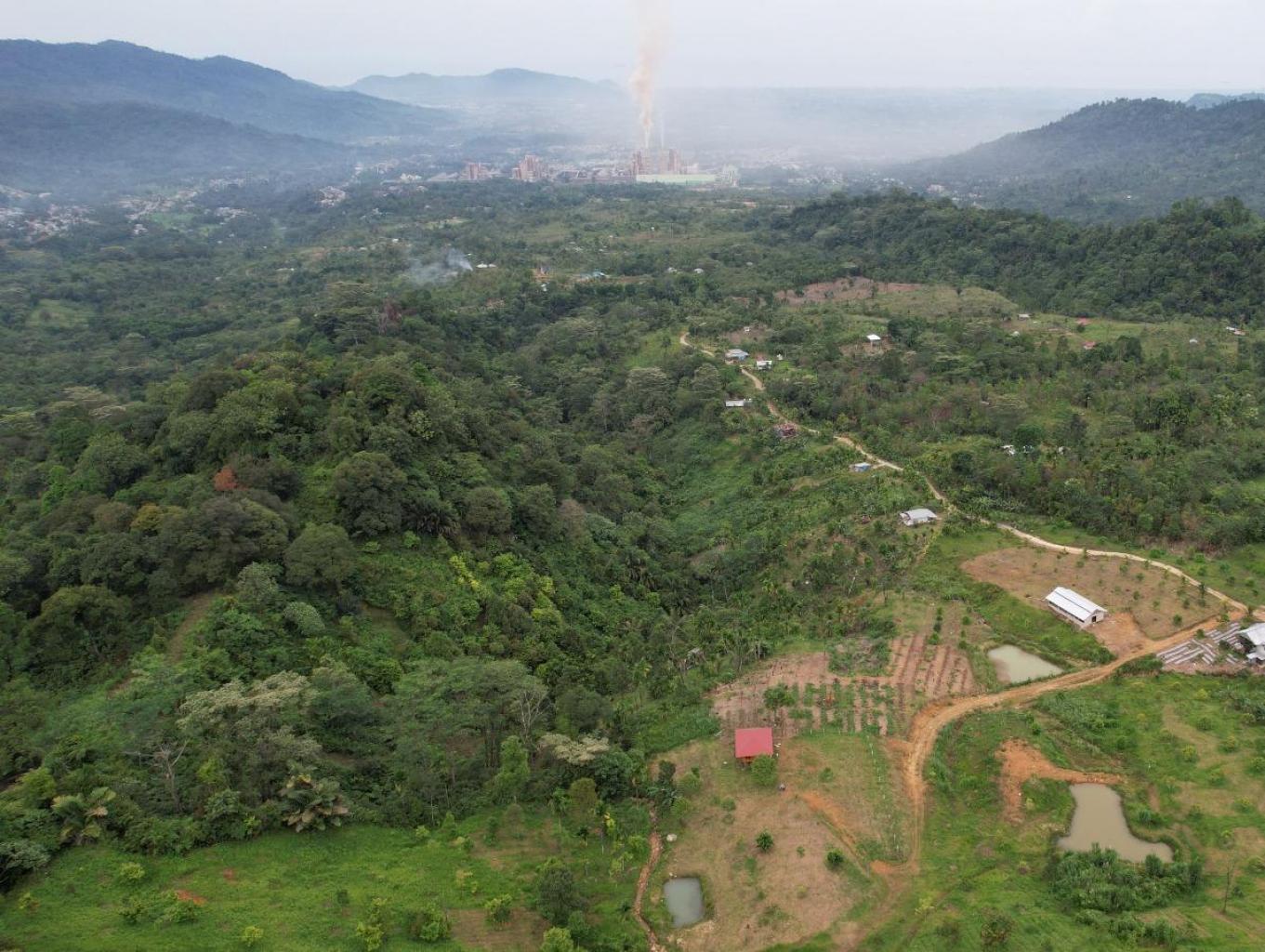 Cagar Alam Padayo