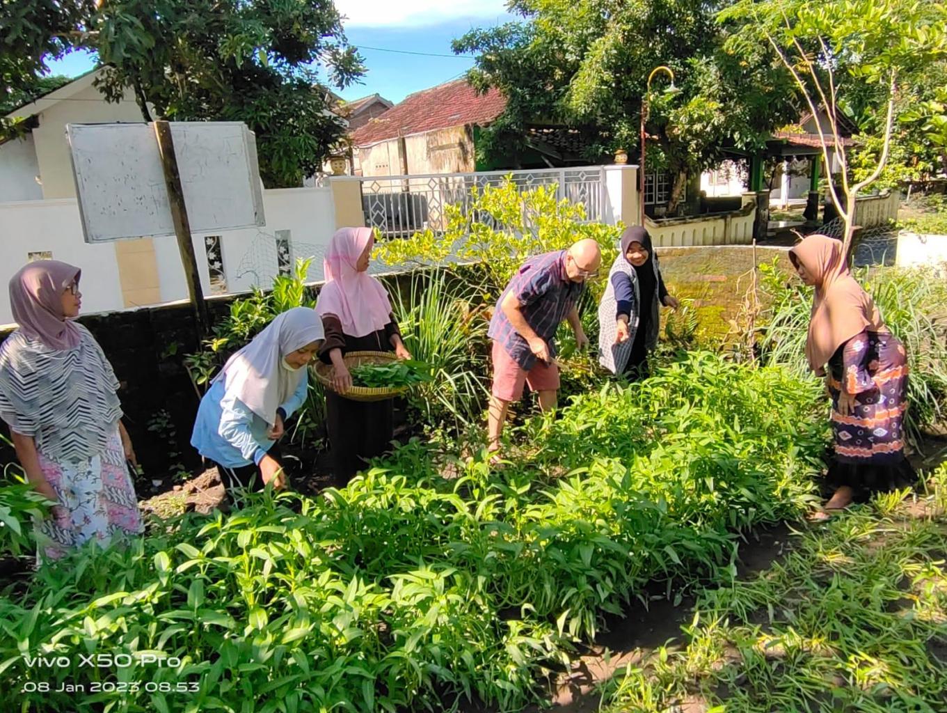 Agro Wisata Sayuran Organik