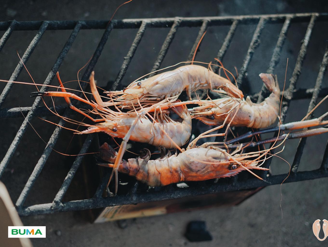 Menutung Udang Galah