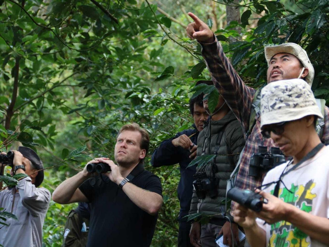 Bird Watching 