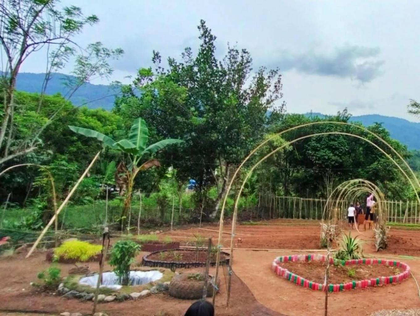 KELOMPOK PERKEBUNAN DASA WISMA TABARANO 