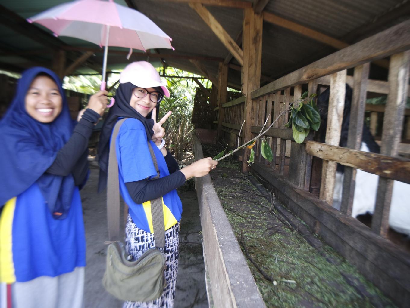 Edukasi Perternakan