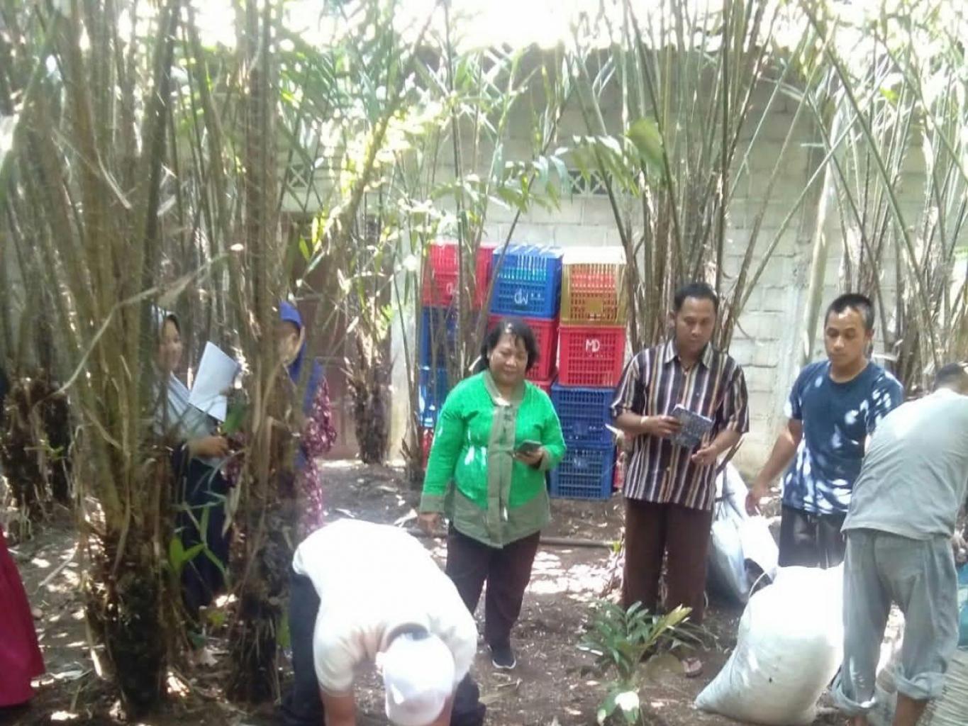 Edukasi Pertanian