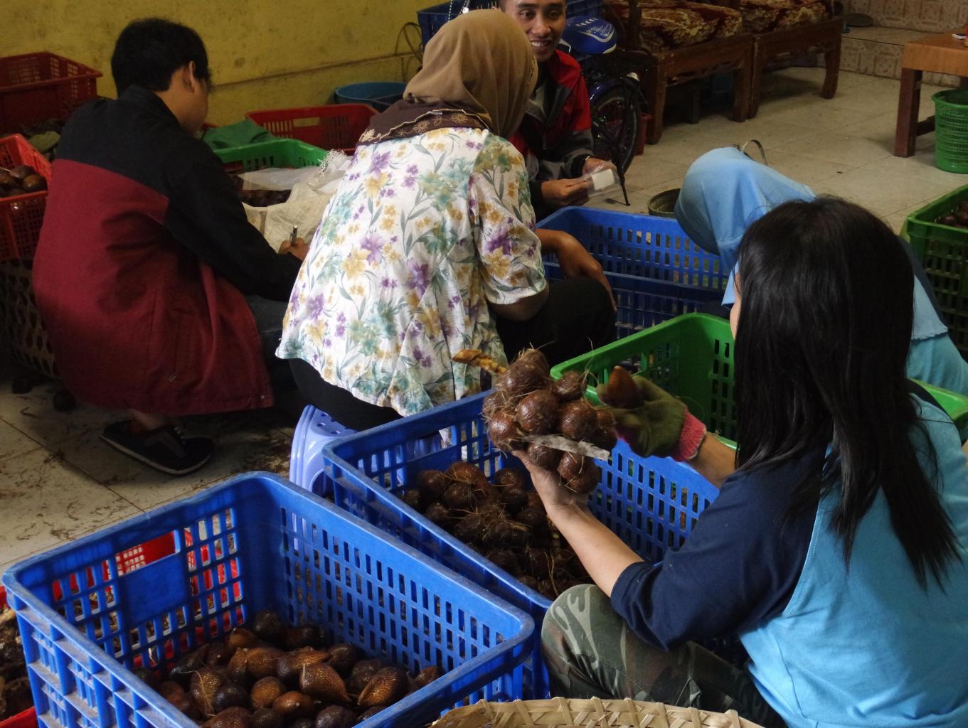 Pengenalan Hasil Pertanian
