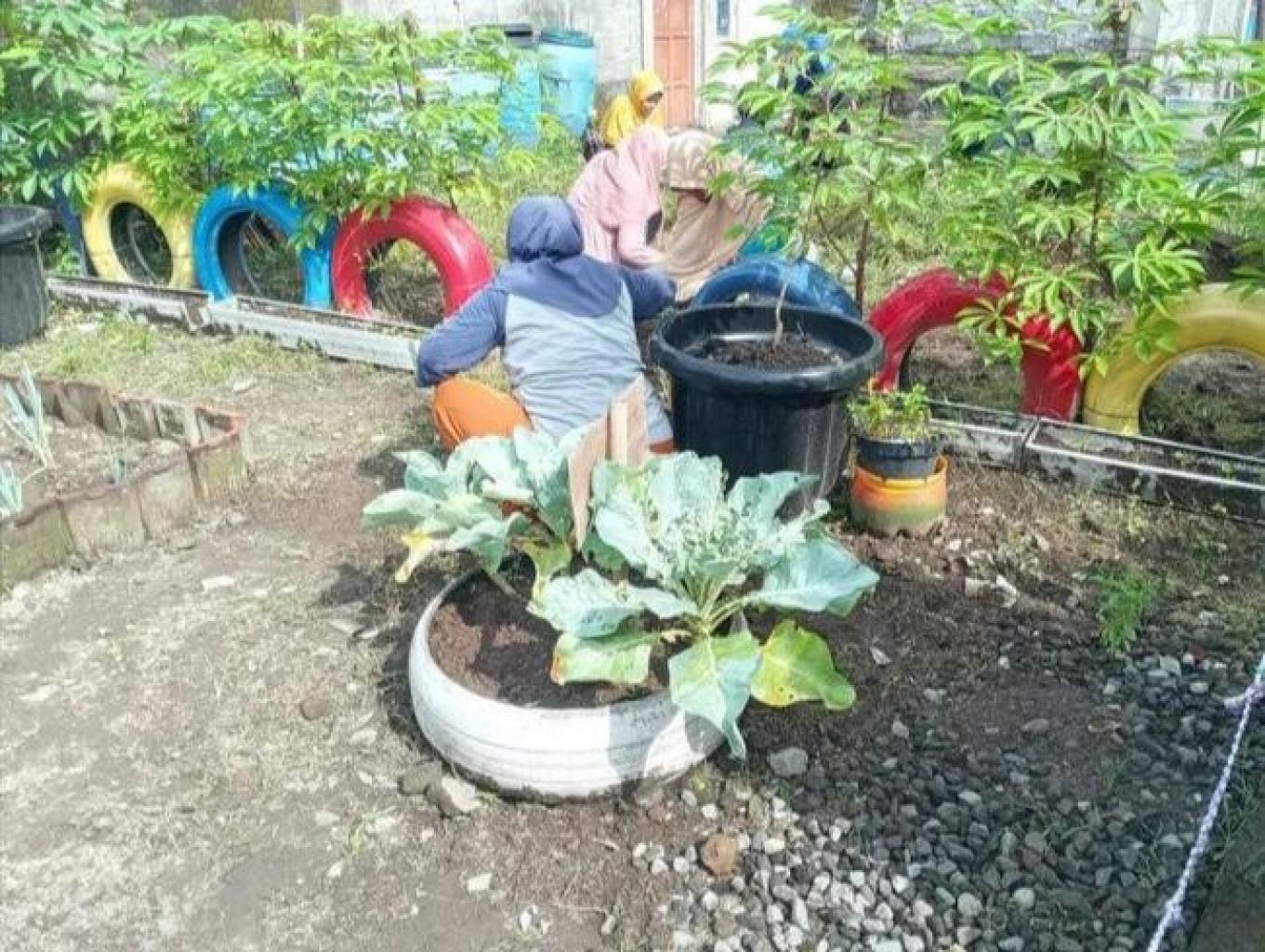 pertanian perkotaan